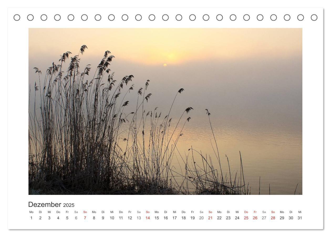 Bild: 9783435759101 | Lichtzauber 2025 (Tischkalender 2025 DIN A5 quer), CALVENDO...