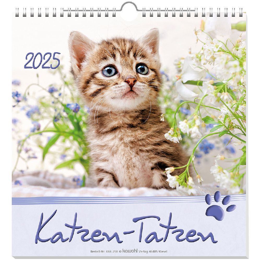 Cover: 9783754829851 | Kleine Katzen-Tatzen 2025 | Kalender | Spiralbindung. Spiralbindung