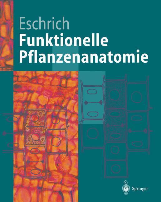 Cover: 9783642796852 | Funktionelle Pflanzenanatomie | Walter Eschrich | Taschenbuch | 2011
