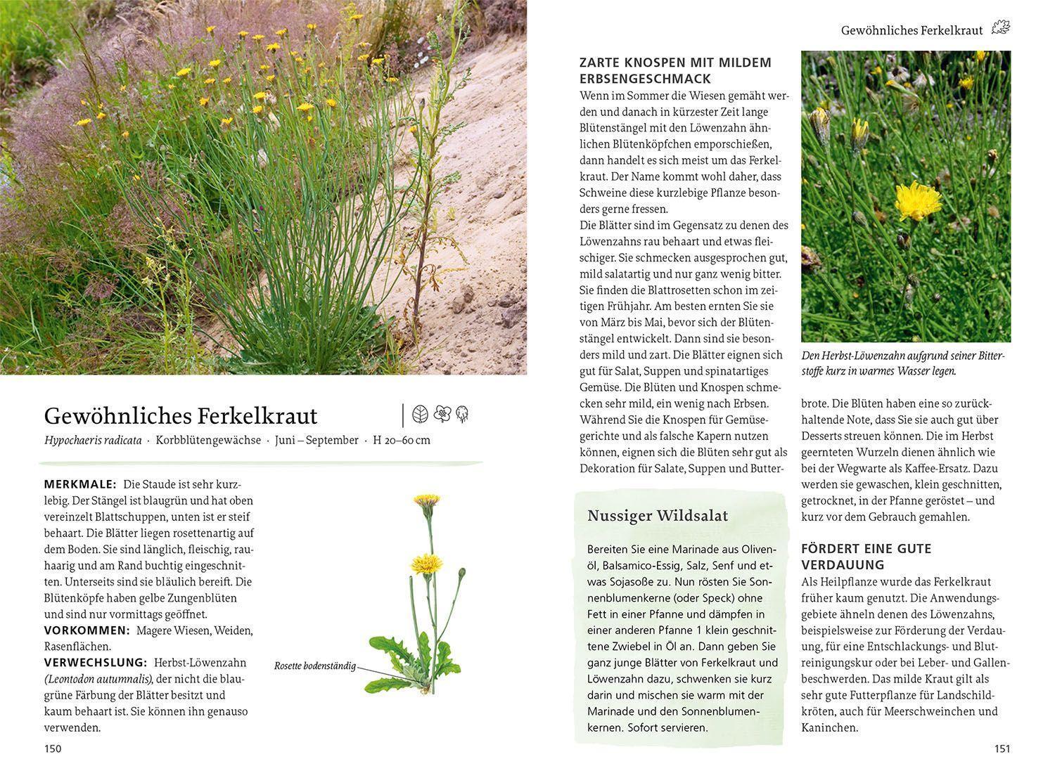 Bild: 9783440174661 | Unsere essbaren Wildpflanzen | Rudi Beiser | Taschenbuch | 296 S.