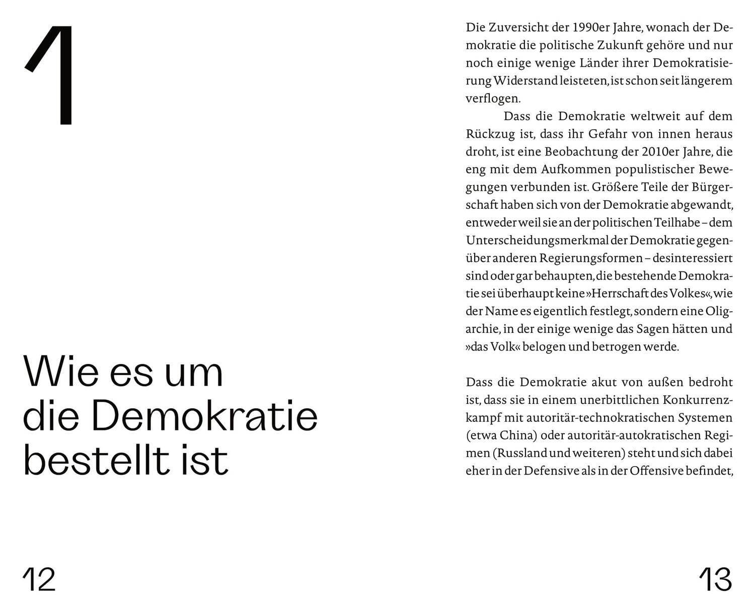 Bild: 9783710606519 | Die Zukunft der Demokratie | Herfried Münkler | Buch | Auf dem Punkt
