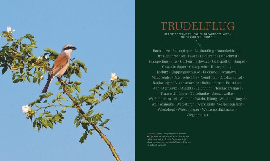 Bild: 9783954162734 | Unsere einzigartige Vogelwelt | Peter Berthold | Buch | 224 S. | 2018