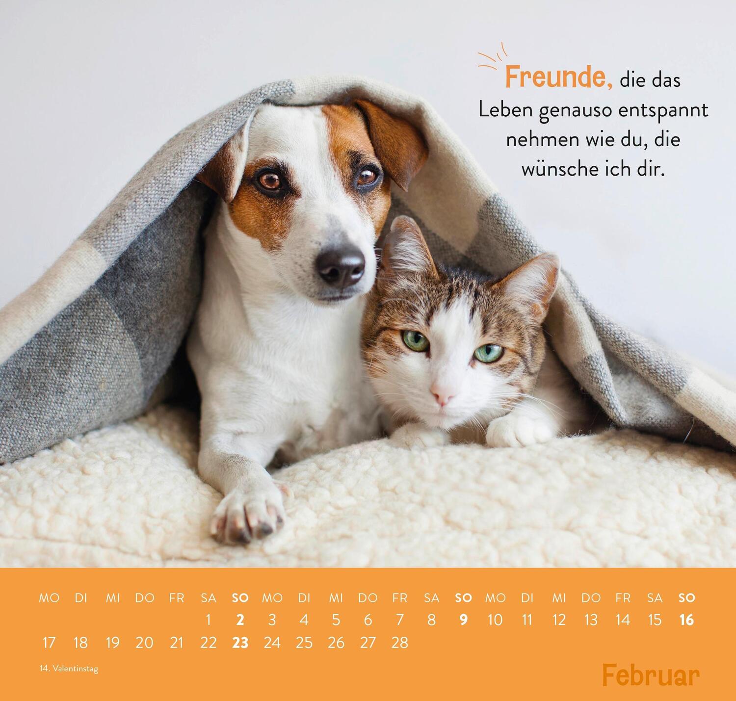 Bild: 4036442011898 | Wandkalender 2025: Einfach mal abhängen | Groh Verlag | Kalender