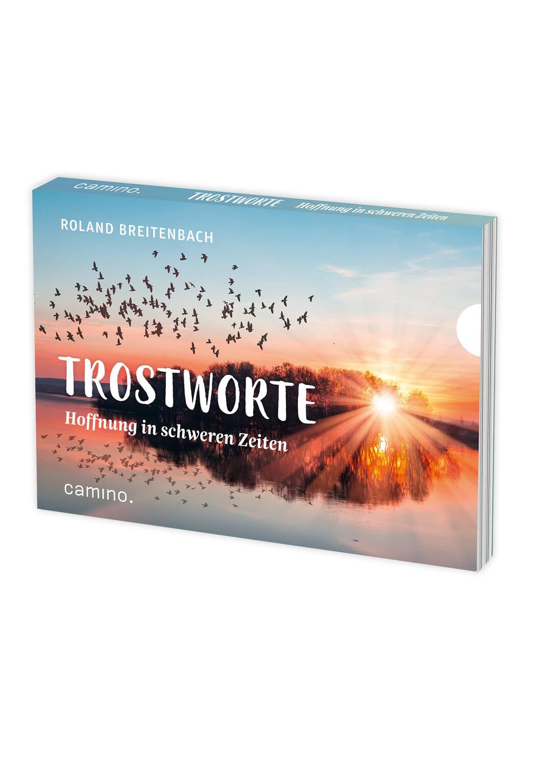 Cover: 9783961571086 | Trostworte - Hoffnung in schweren Zeiten | Roland Breitenbach | Stück