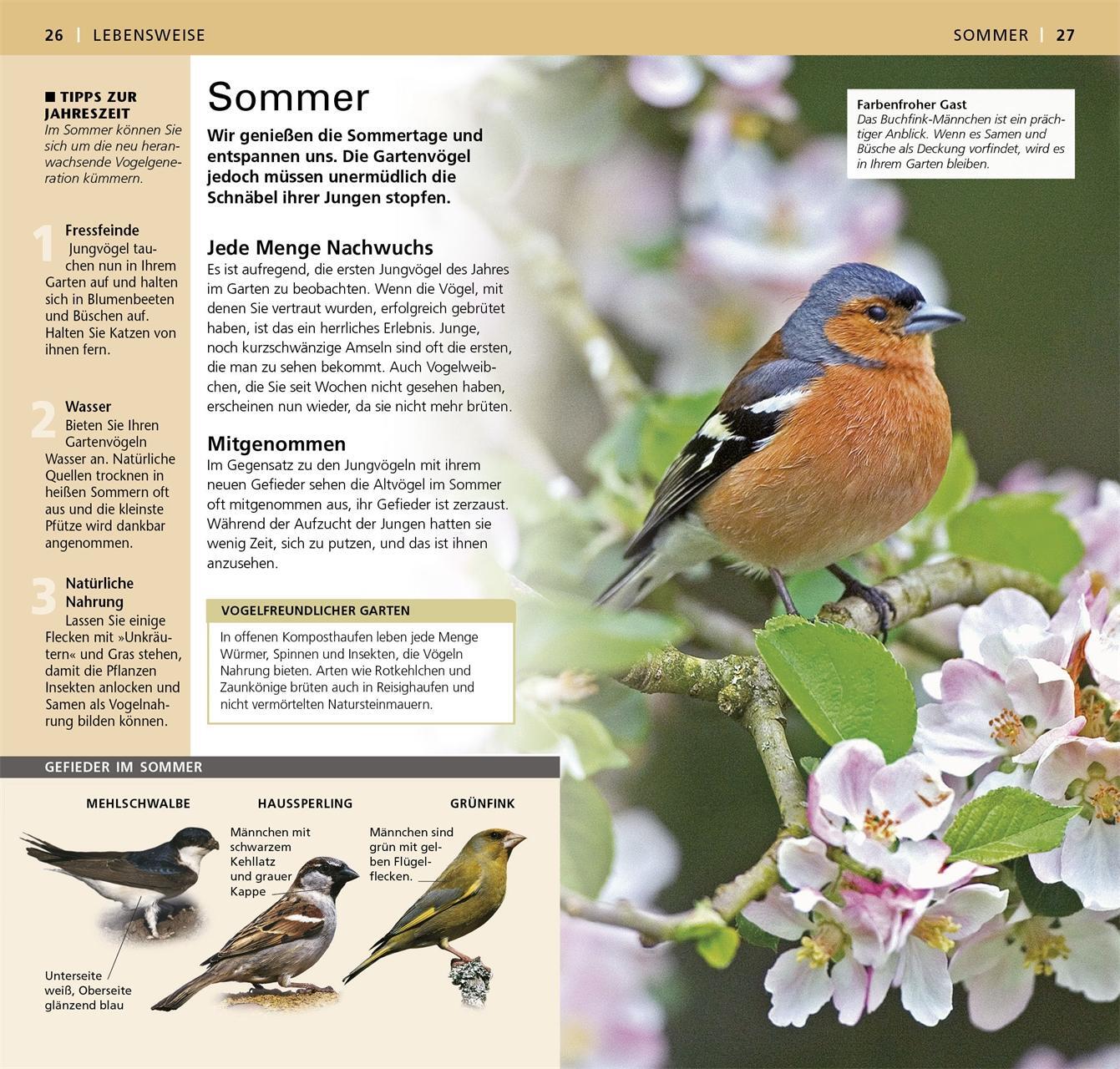 Bild: 9783831027545 | Gartenvögel beobachten und bestimmen | Mark Ward | Taschenbuch | 2015