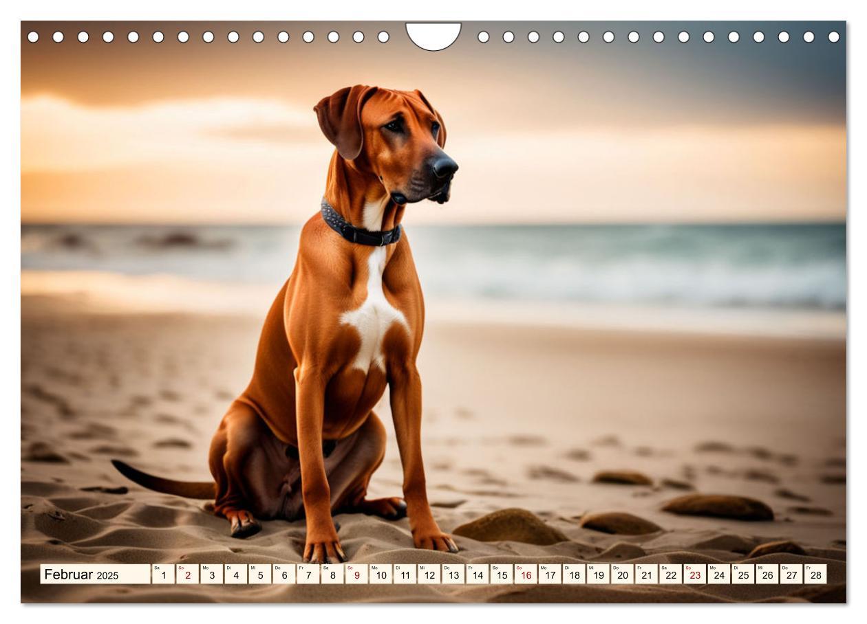 Bild: 9783457146033 | Rhodesian Ridgeback - Athlet mit Rückenkamm (Wandkalender 2025 DIN...