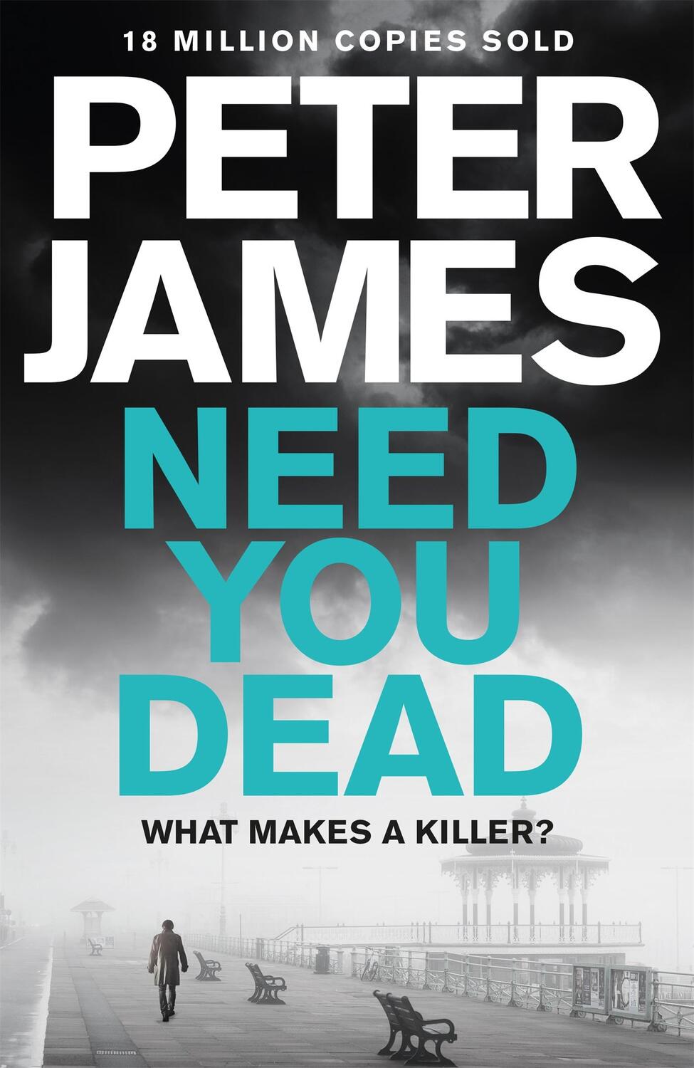 Cover: 9781509848287 | Need You Dead | Peter James | Taschenbuch | Detective Roy Grace | 2017