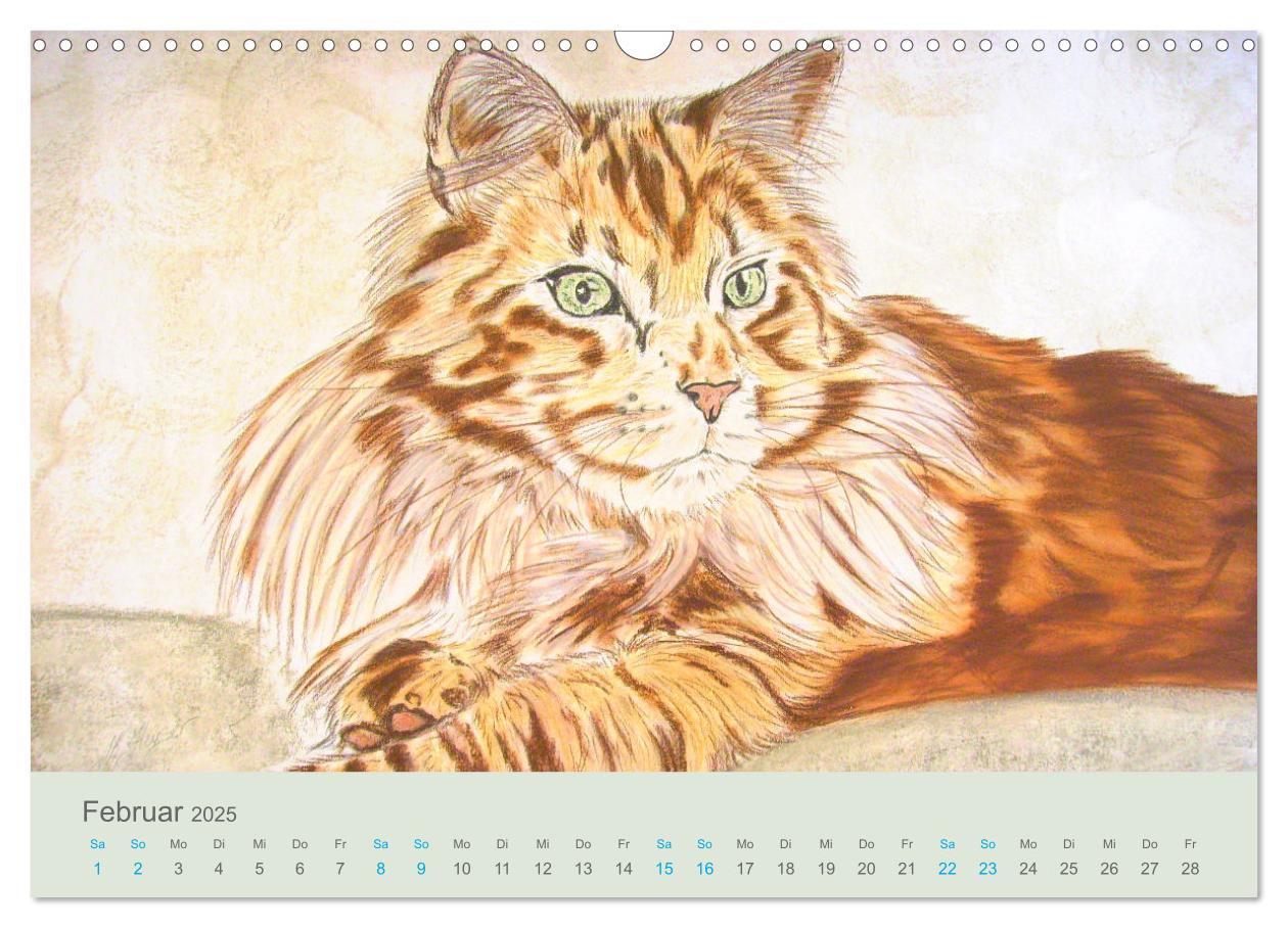 Bild: 9783435097487 | KATZEN PortraiTierART (Wandkalender 2025 DIN A3 quer), CALVENDO...