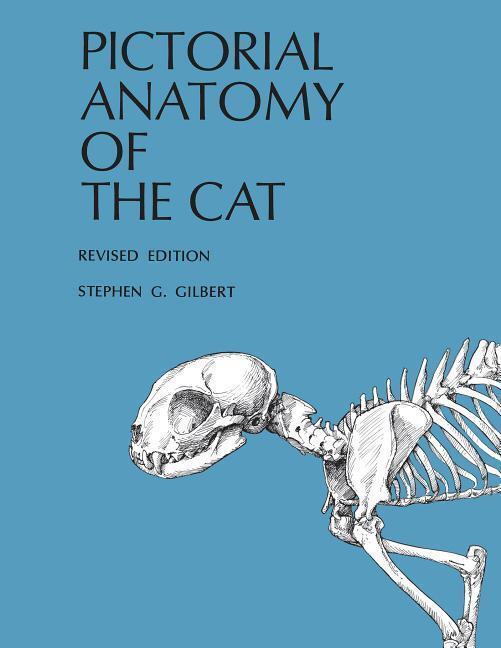 Cover: 9780295954547 | Pictorial Anatomy of the Cat | Stephen G. Gilbert | Taschenbuch | 1975