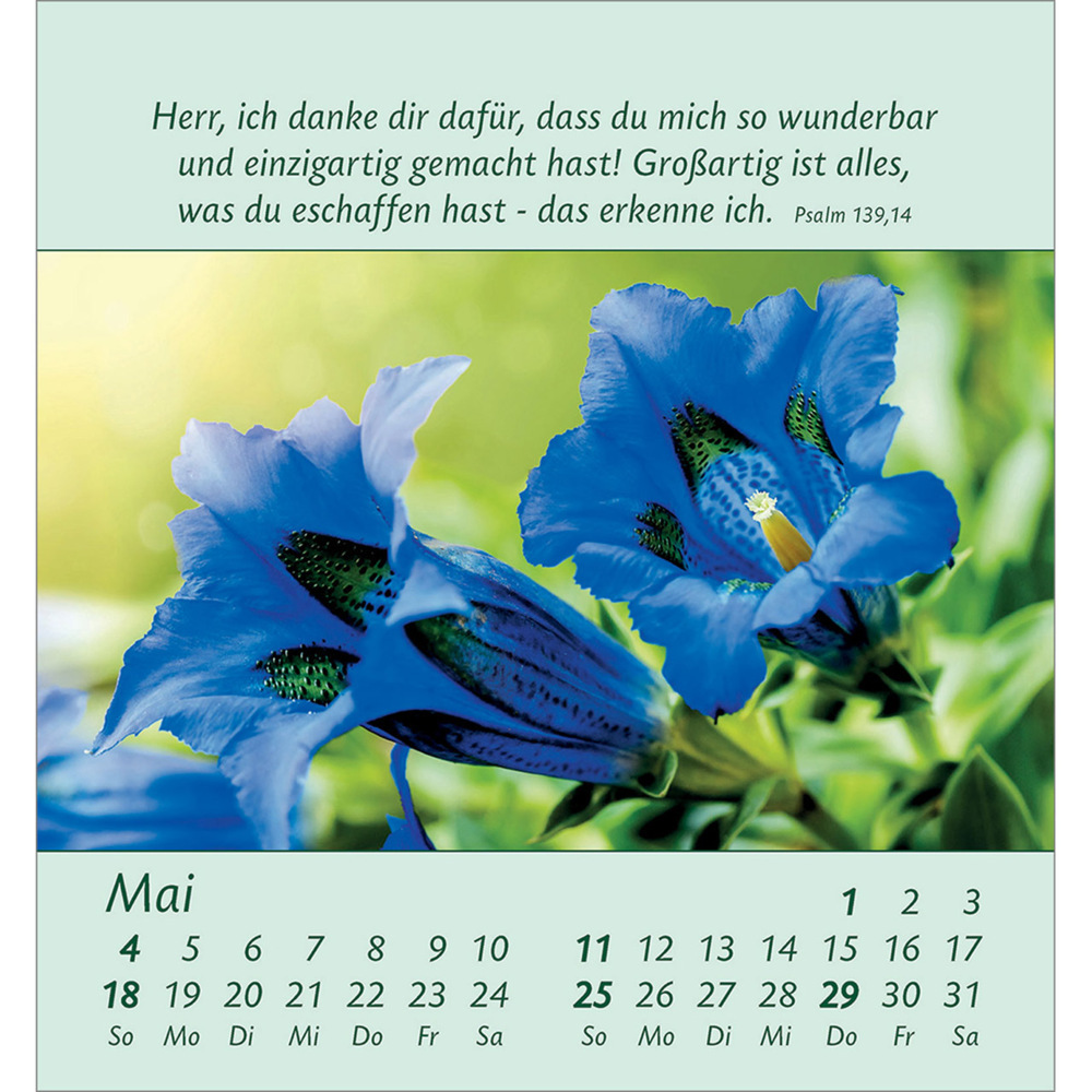 Bild: 9783754847053 | Kleine Blumengrüße 2025 | Kalender | Spiralbindung. Spiralbindung