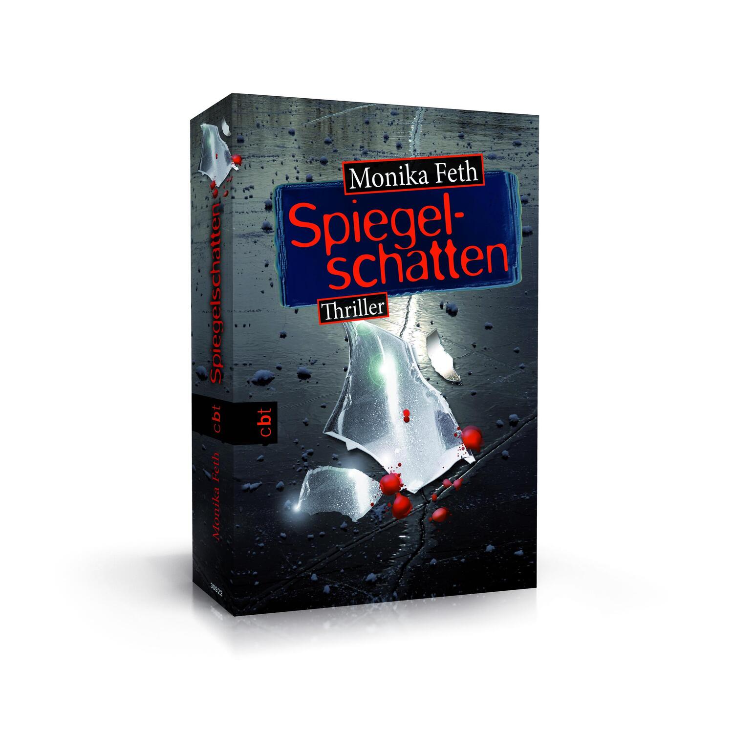 Bild: 9783570309223 | Spiegelschatten | Monika Feth | Taschenbuch | Romy-Thriller | Deutsch