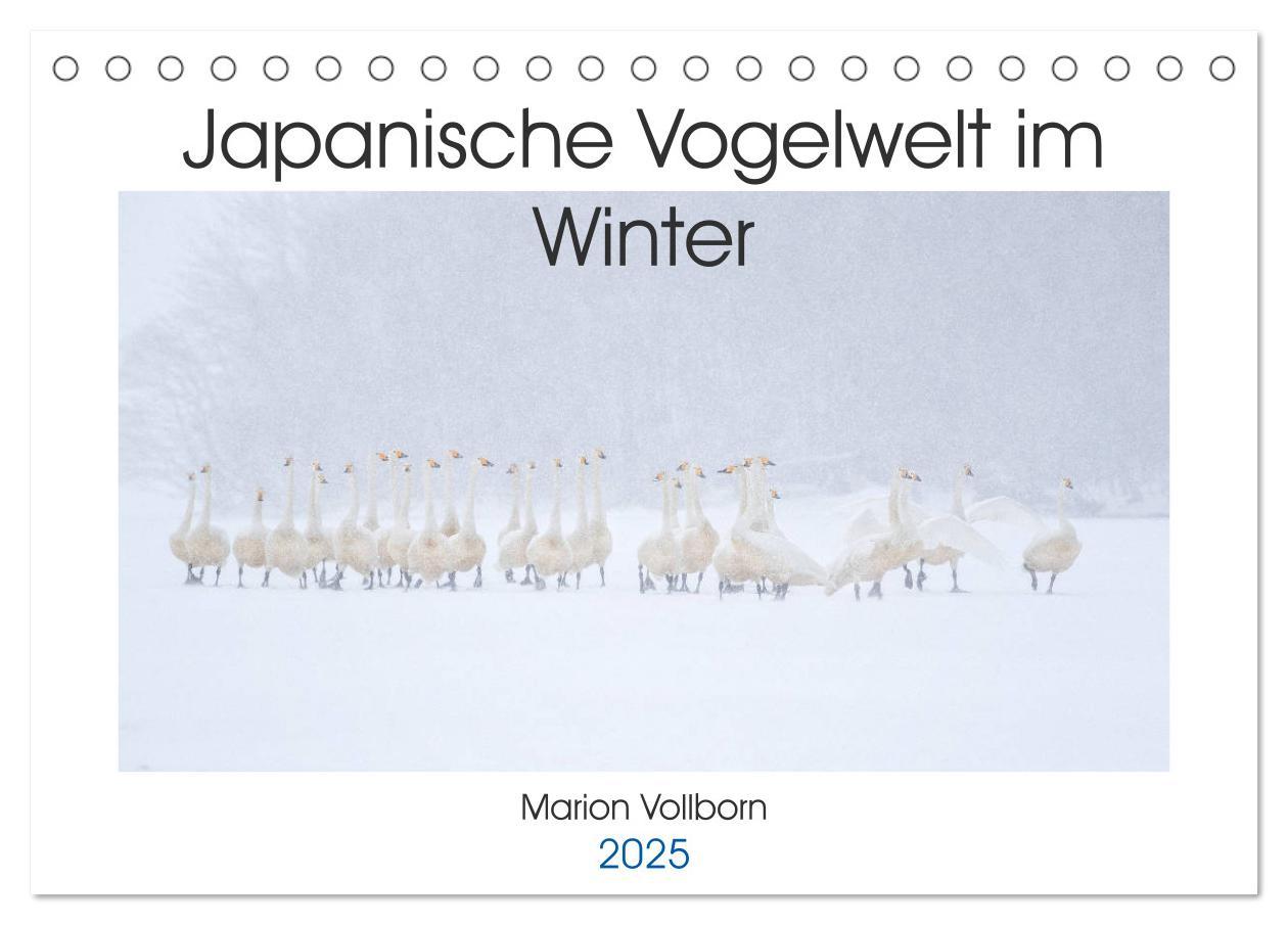 Cover: 9783435292103 | Japanische Vogelwelt im Winter (Tischkalender 2025 DIN A5 quer),...