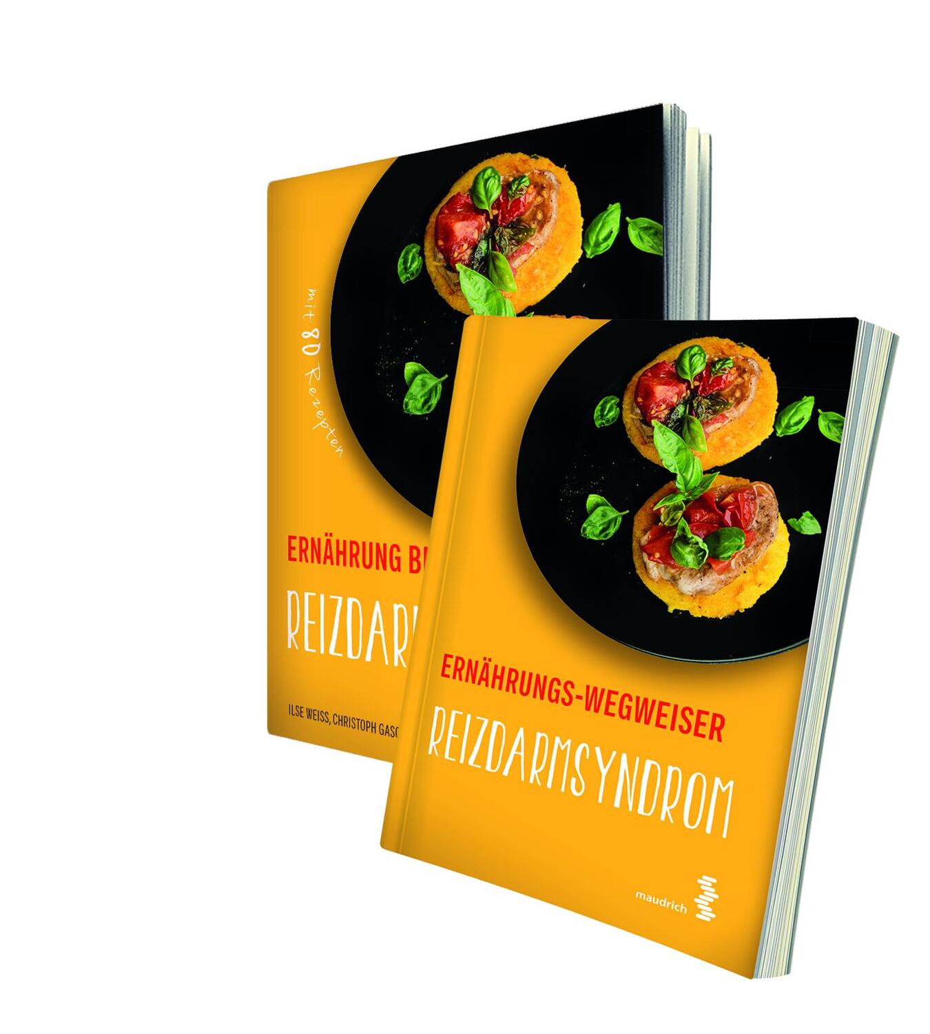 Cover: 9783990020692 | Paket Ernährung bei Reizdarmsyndrom + Ernährungs-Wegweiser...