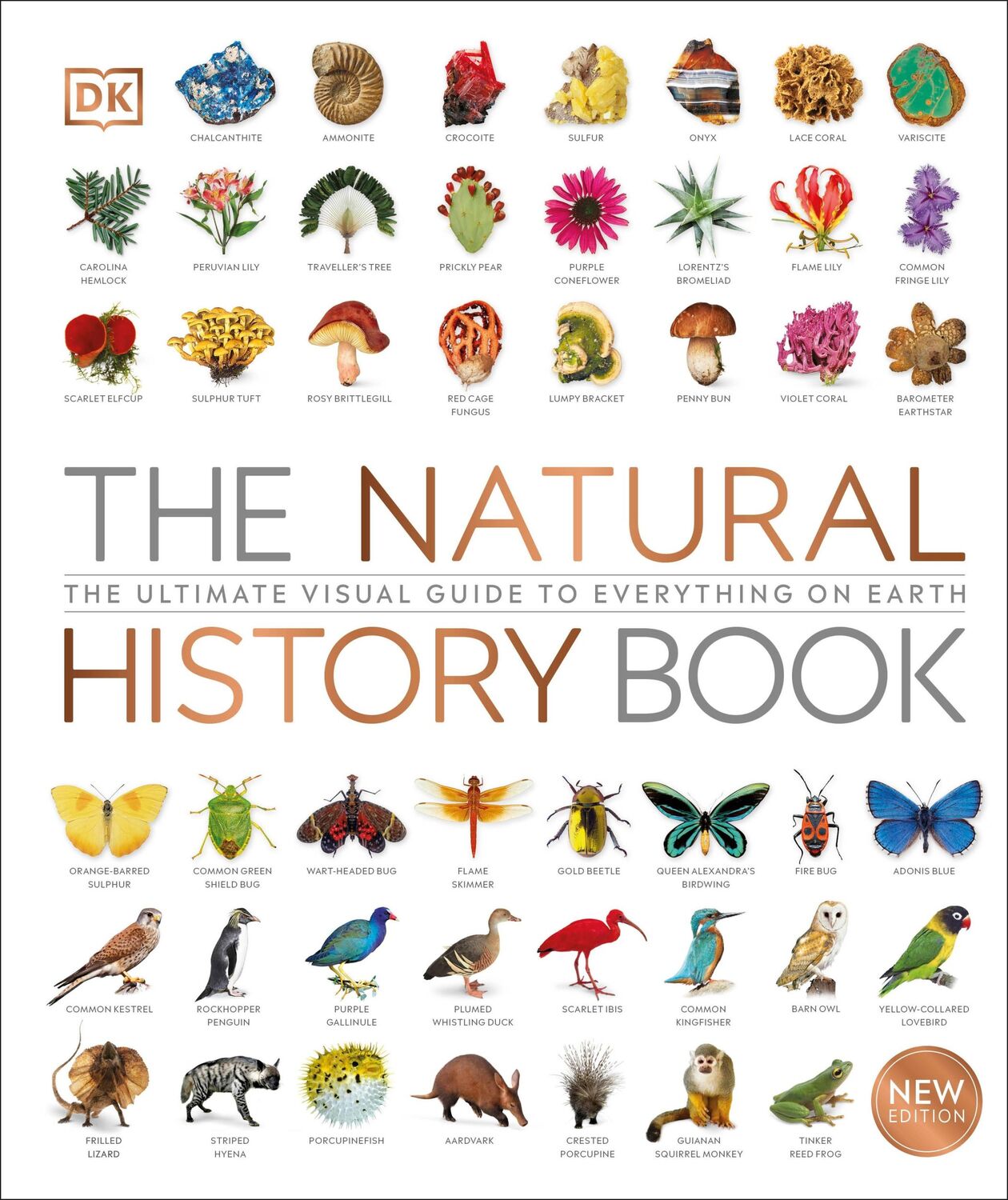 Cover: 9780241393345 | The Natural History Book | DK | Buch | 664 S. | Englisch | 2021