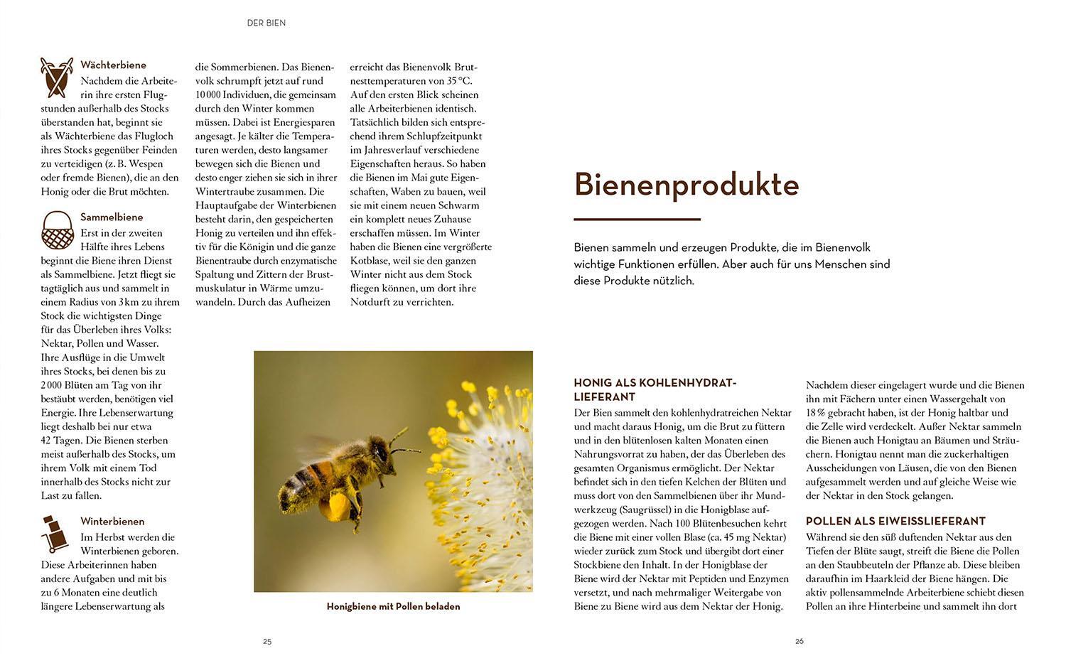 Bild: 9783440176931 | Bienen halten mit der BienenBox | Ökologisch imkern auf kleinstem Raum