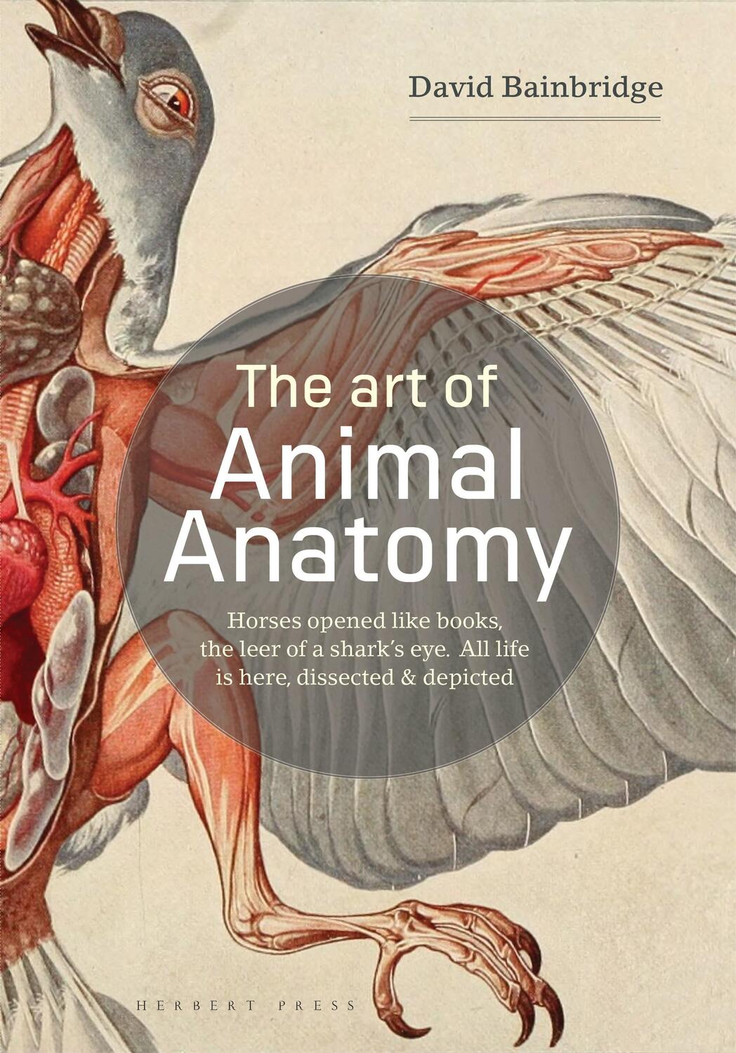 Cover: 9781912217359 | The Art of Animal Anatomy | All Life is Here, Dissected and Depicted