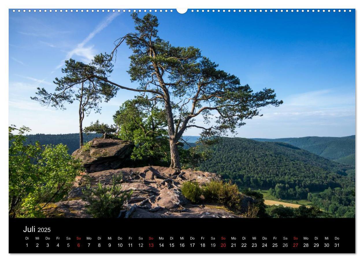 Bild: 9783435586479 | Mystischer Pfälzer Wald (hochwertiger Premium Wandkalender 2025 DIN...