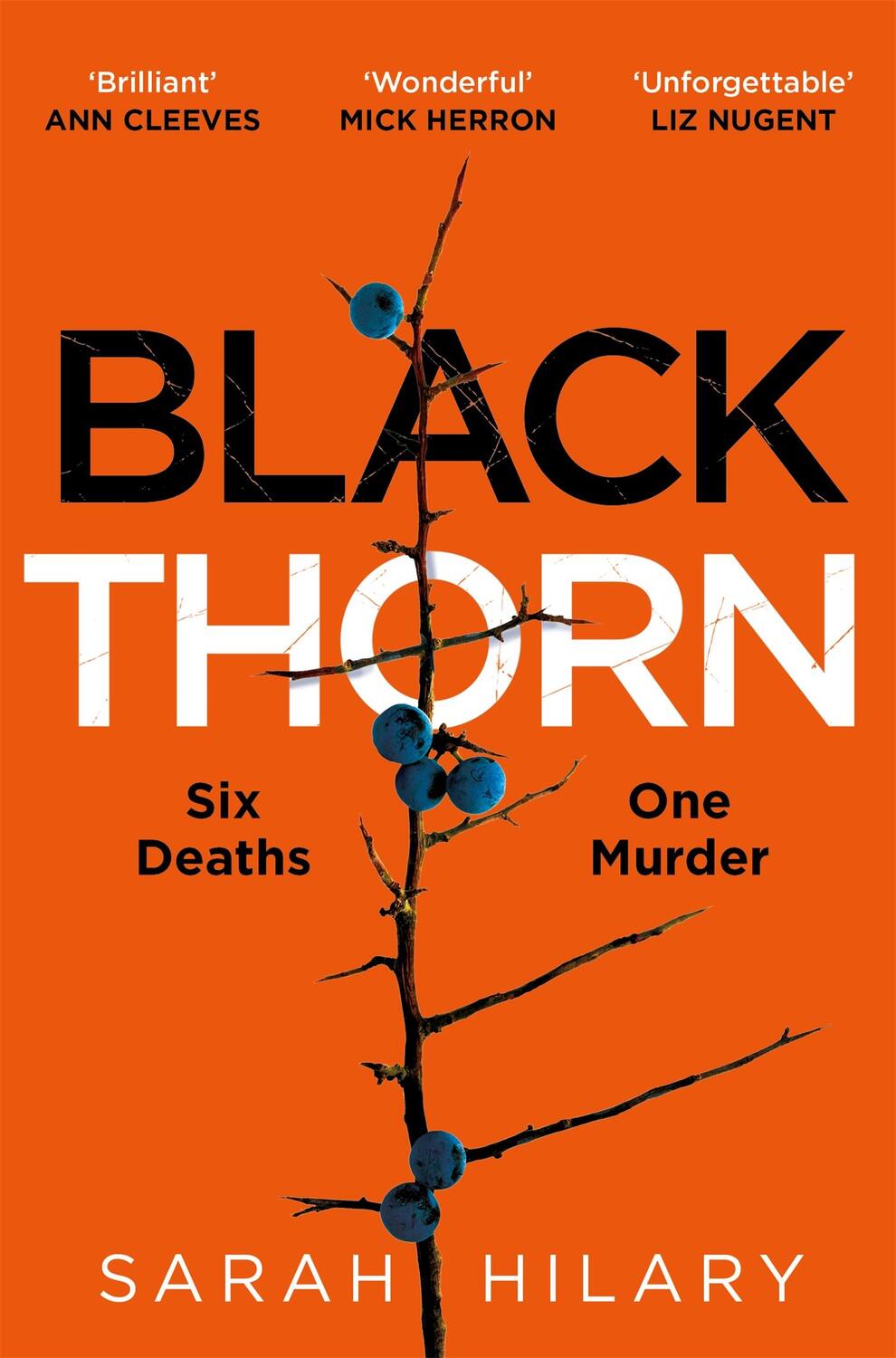 Cover: 9781035004317 | Black Thorn | Sarah Hilary | Taschenbuch | 2024 | Pan Macmillan