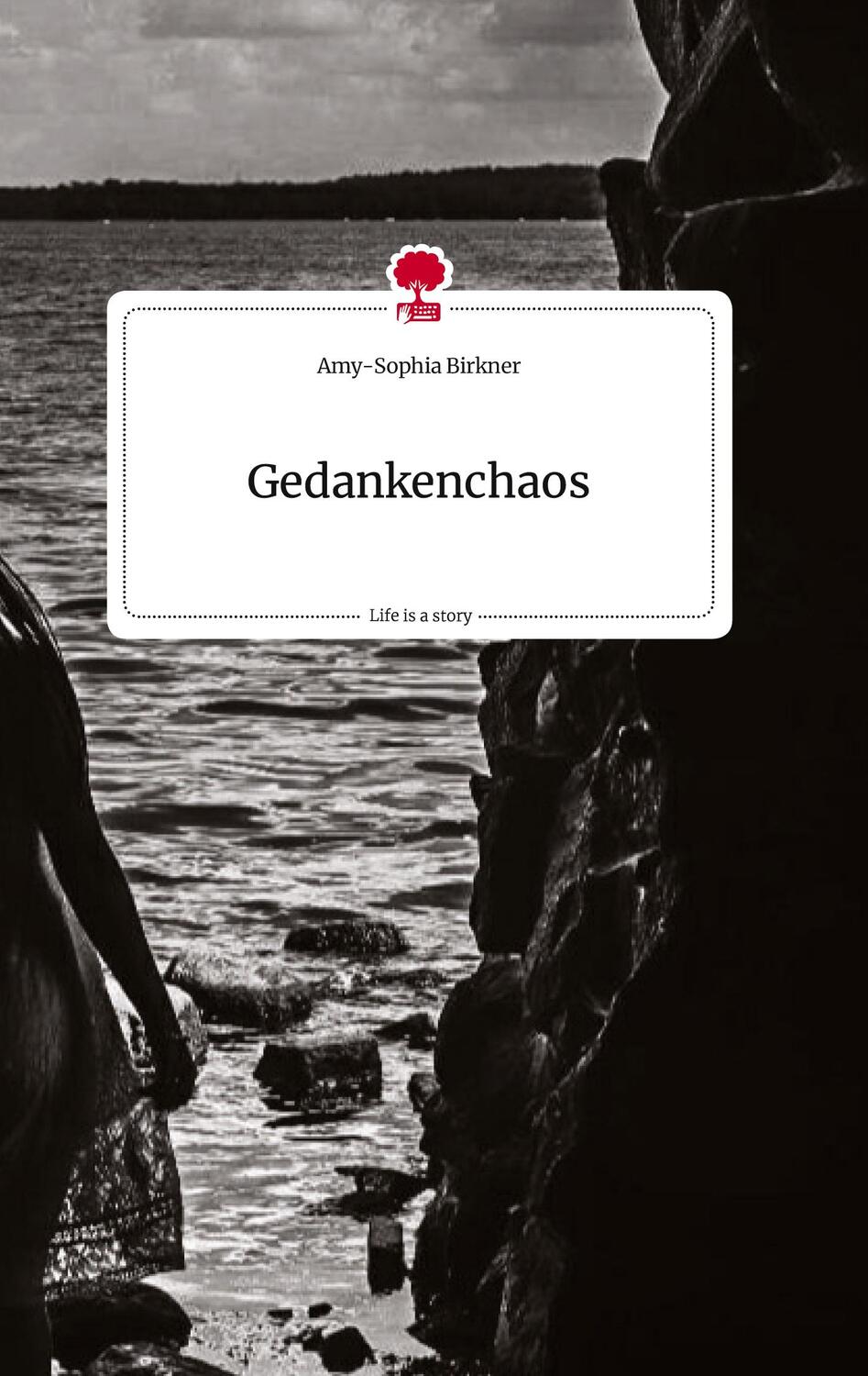 Cover: 9783710816444 | Gedankenchaos. Life is a Story - story.one | Amy-Sophia Birkner | Buch