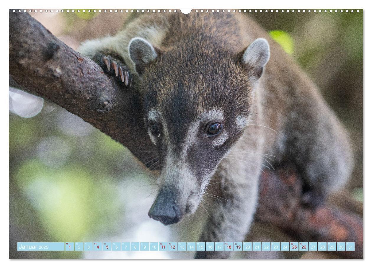 Bild: 9783383999659 | Mexiko - Die wunderschöne Halbinsel Yucatán Fotokalender 2025...