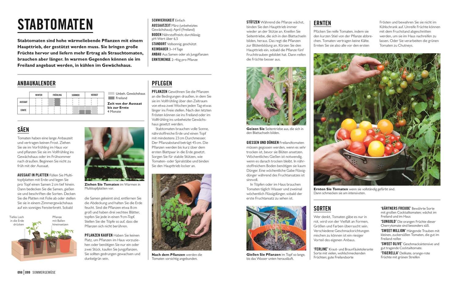 Bild: 9783831043941 | Grünes Gartenwissen. Gemüse anbauen | Jo Whittingham | Taschenbuch