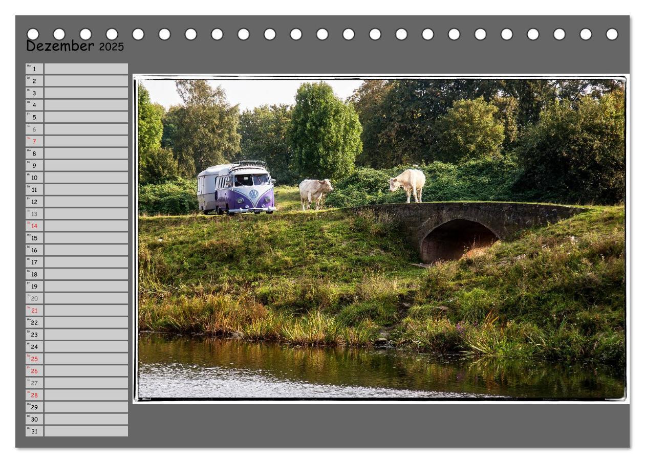 Bild: 9783435551637 | Oldtimer auf Tour (Tischkalender 2025 DIN A5 quer), CALVENDO...