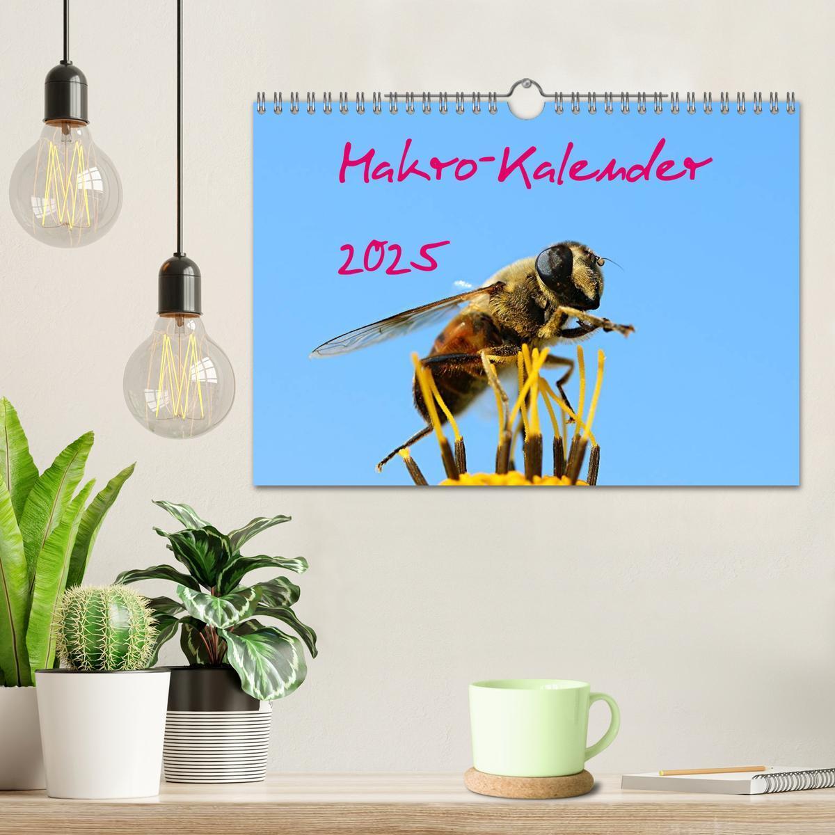 Bild: 9783435796298 | Makro-Kalender 2025 (Wandkalender 2025 DIN A4 quer), CALVENDO...