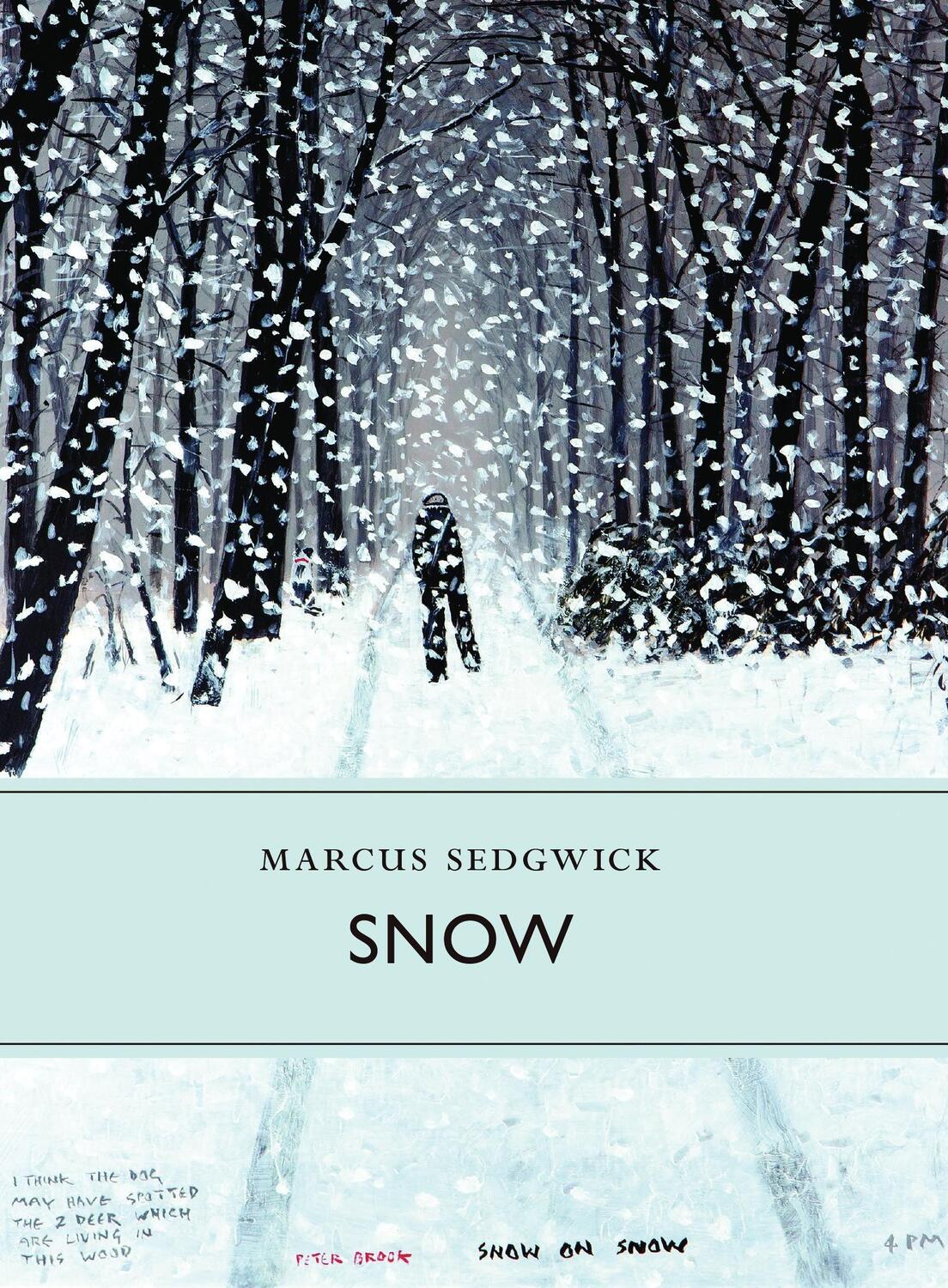 Cover: 9781908213402 | Snow | Marcus Sedgwick | Buch | Little Toller Monographs | Gebunden