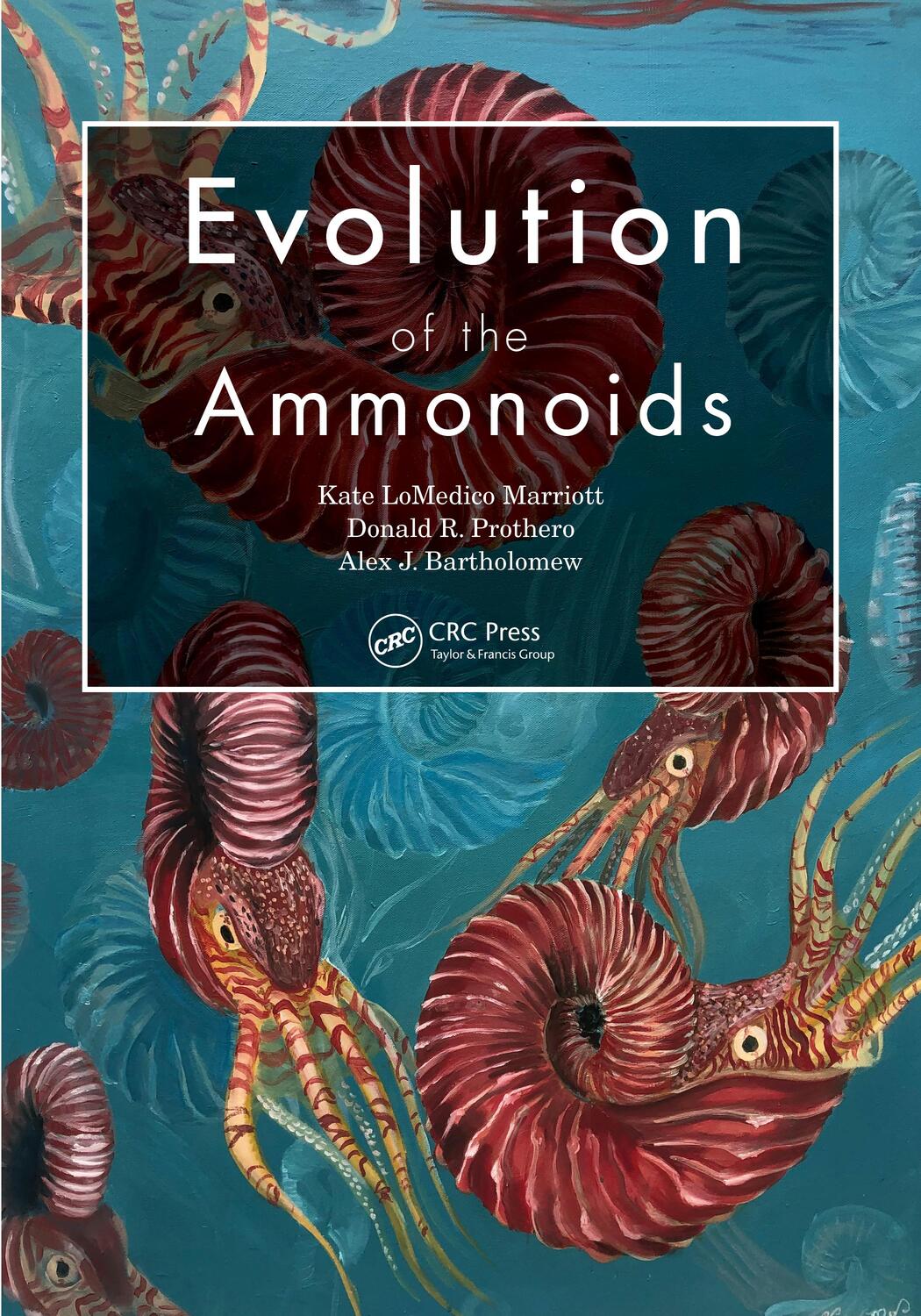 Cover: 9781032264363 | Evolution of the Ammonoids | Kate Lomedico Marriott (u. a.) | Buch
