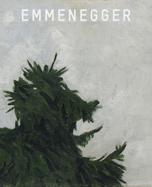 Cover: 9783864420894 | Hans Emmenegger | Kat. Kunstmuseum Luzern. Hrsg.: Kunstmuseum Luzern