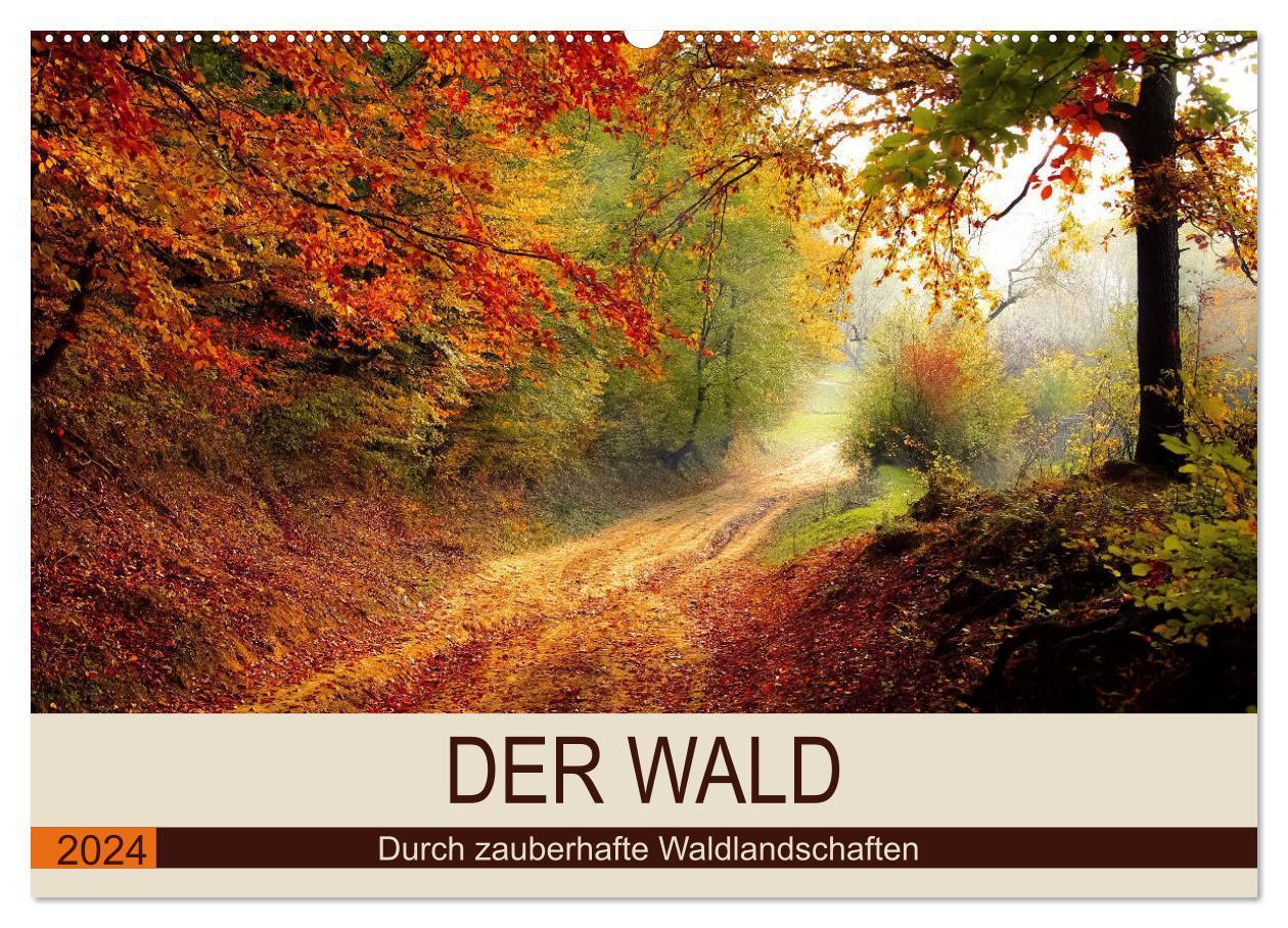 Cover: 9783383108778 | Der Wald. Durch zauberhafte Waldlandschaften (Wandkalender 2024 DIN...