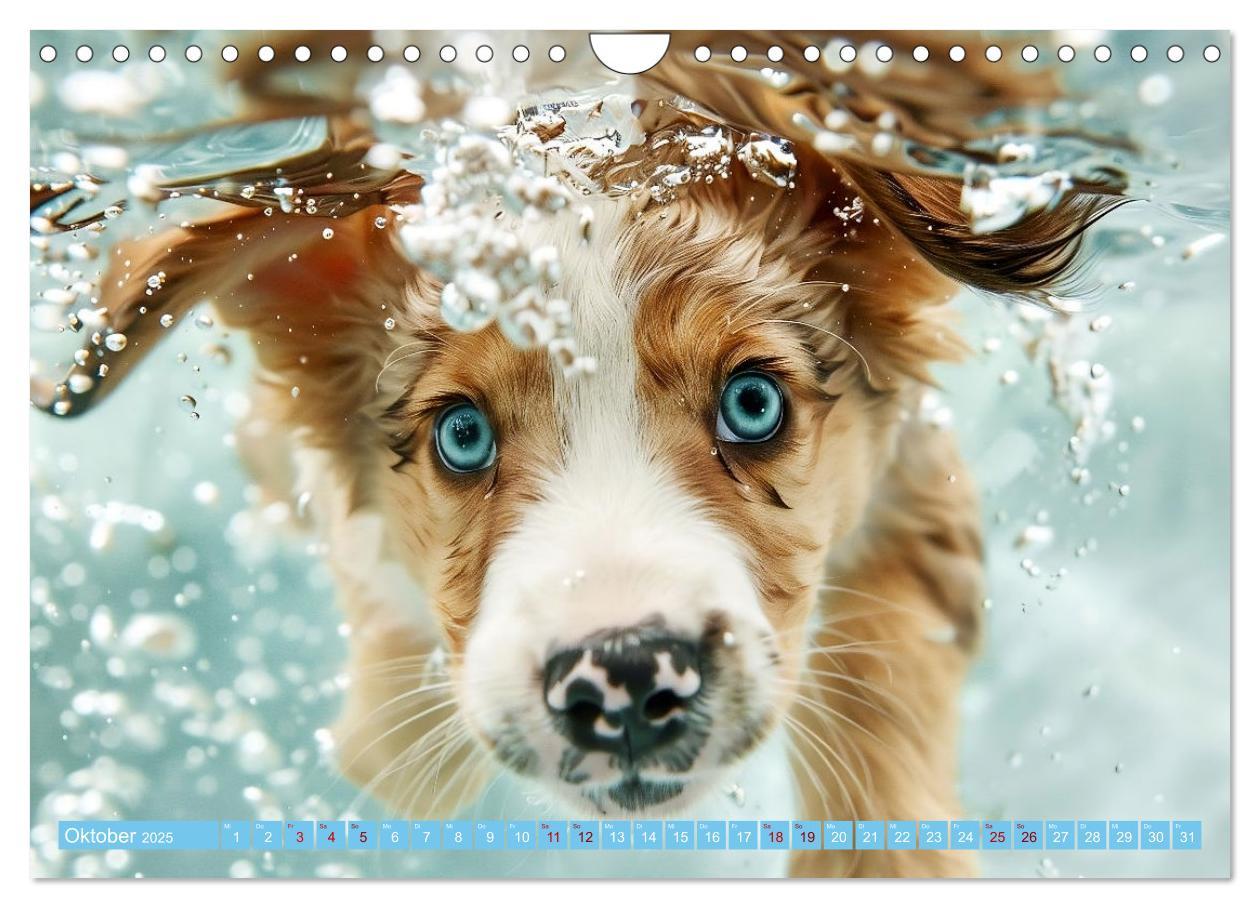 Bild: 9783457129227 | Hunde und Wasser (Wandkalender 2025 DIN A4 quer), CALVENDO...