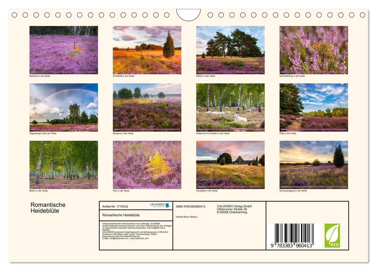 Bild: 9783383960413 | Romantische Heideblüte (Wandkalender 2025 DIN A4 quer), CALVENDO...