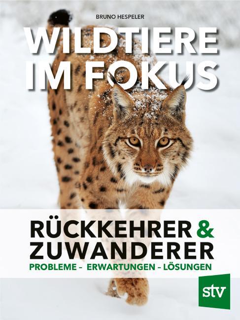 Cover: 9783702020149 | Wildtiere im Fokus | Bruno Hespeler | Buch | Deutsch | 2022