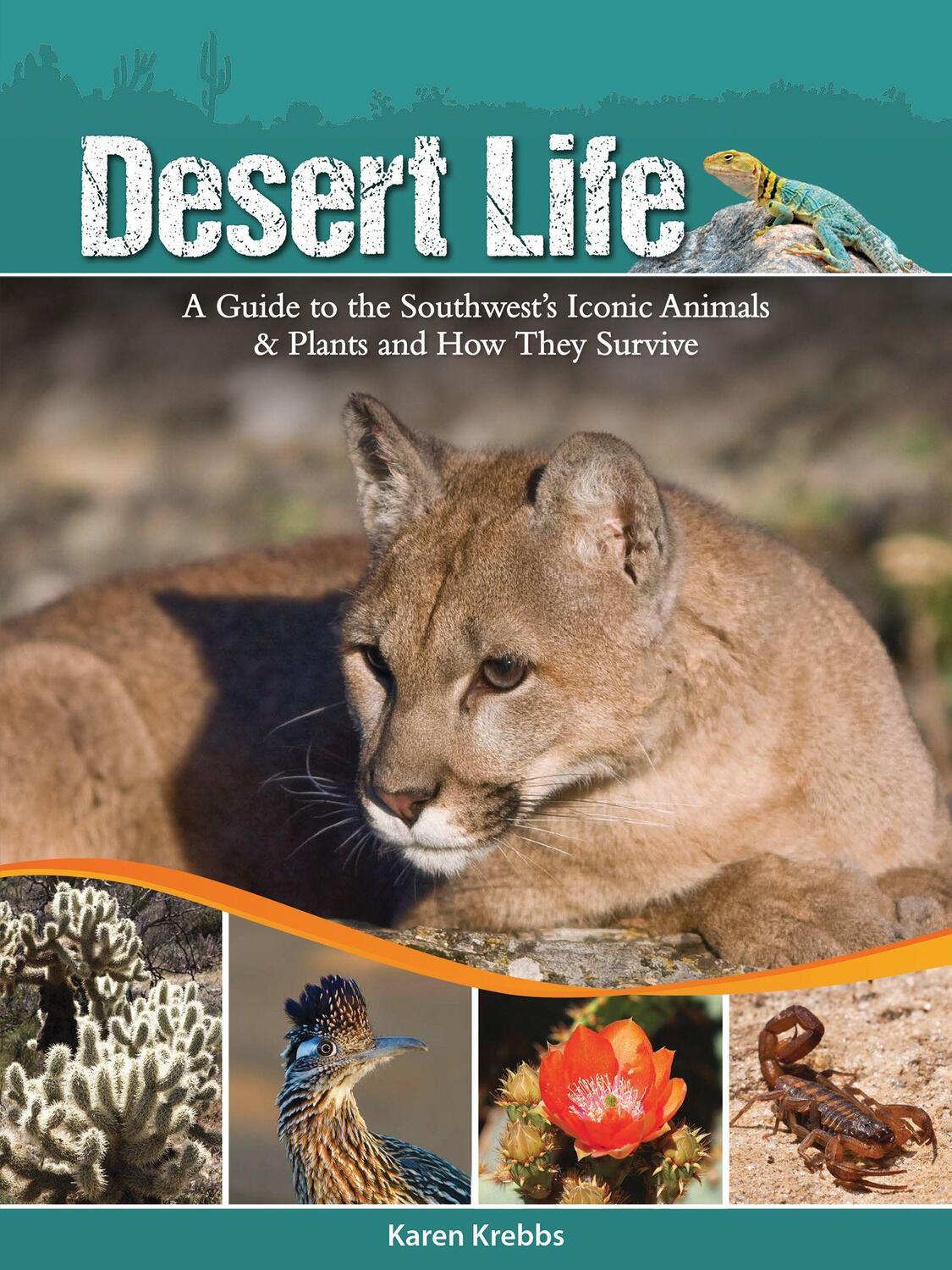 Cover: 9781591935551 | Desert Life: A Guide to the Southwest's Iconic Animals &amp; Plants and...