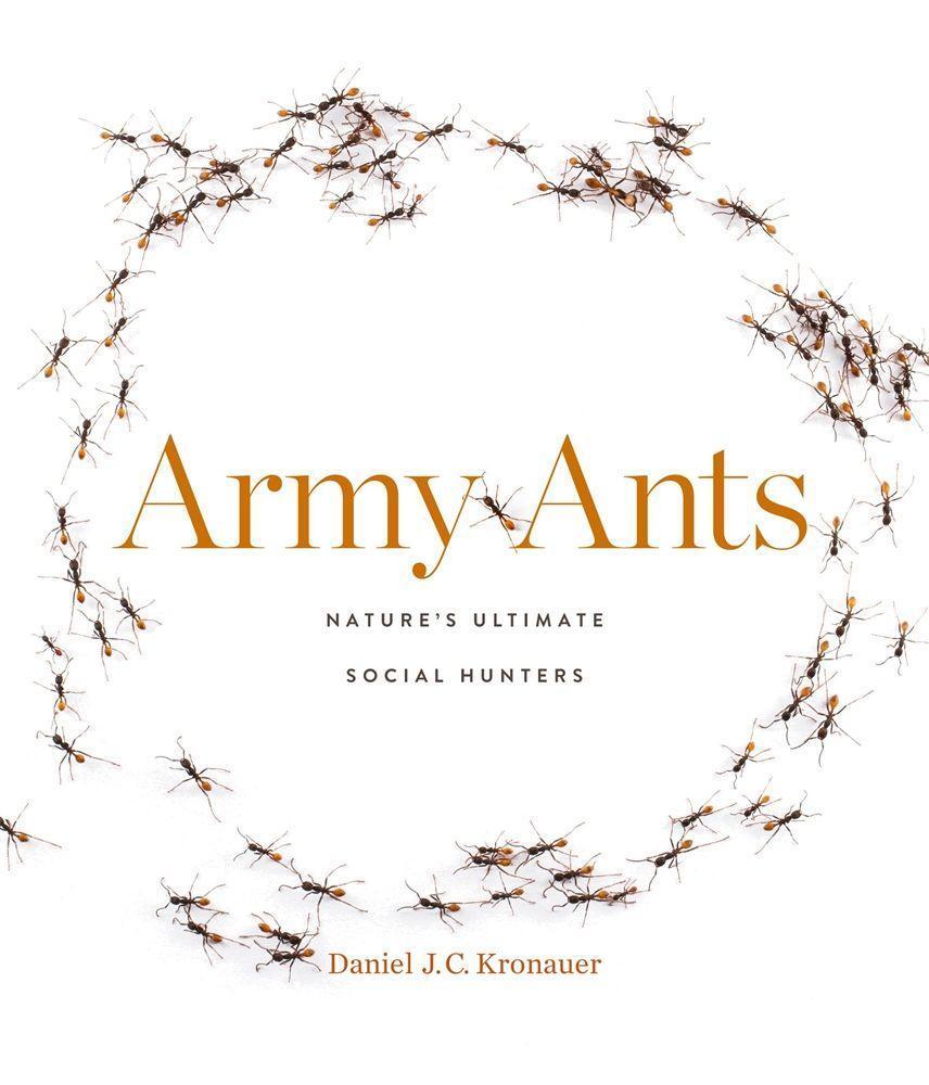 Cover: 9780674241558 | Army Ants | Nature's Ultimate Social Hunters | Daniel J. C. Kronauer