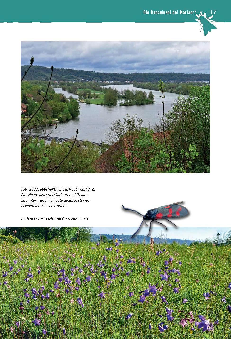 Bild: 9783892515494 | Das Märchen von der Donauinsel bei Mariaort | Bund Naturschutz | Buch