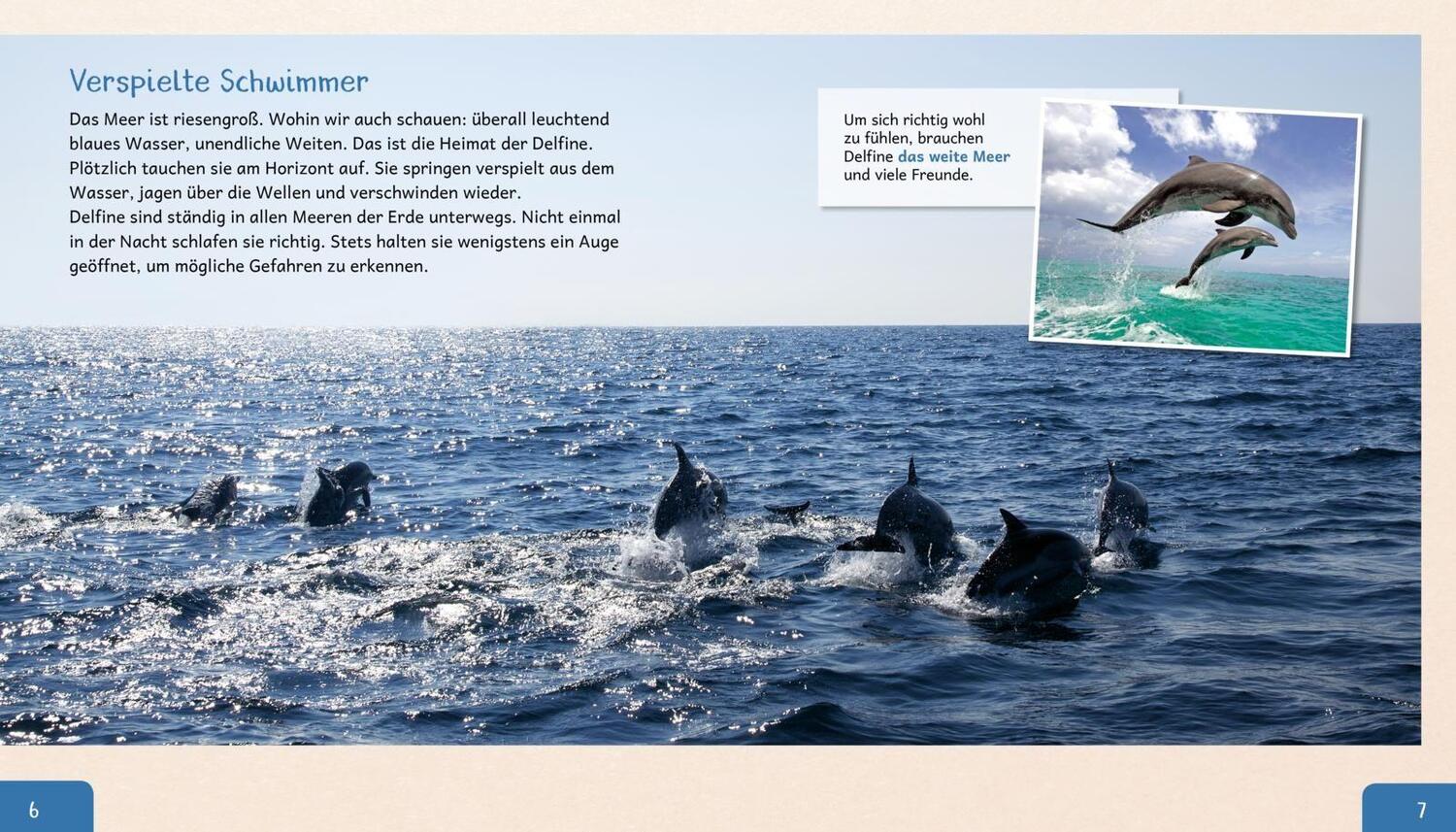Bild: 9783480235759 | Meine große Tierbibliothek: Der Delfin | Jens Poschadel | Buch | 32 S.