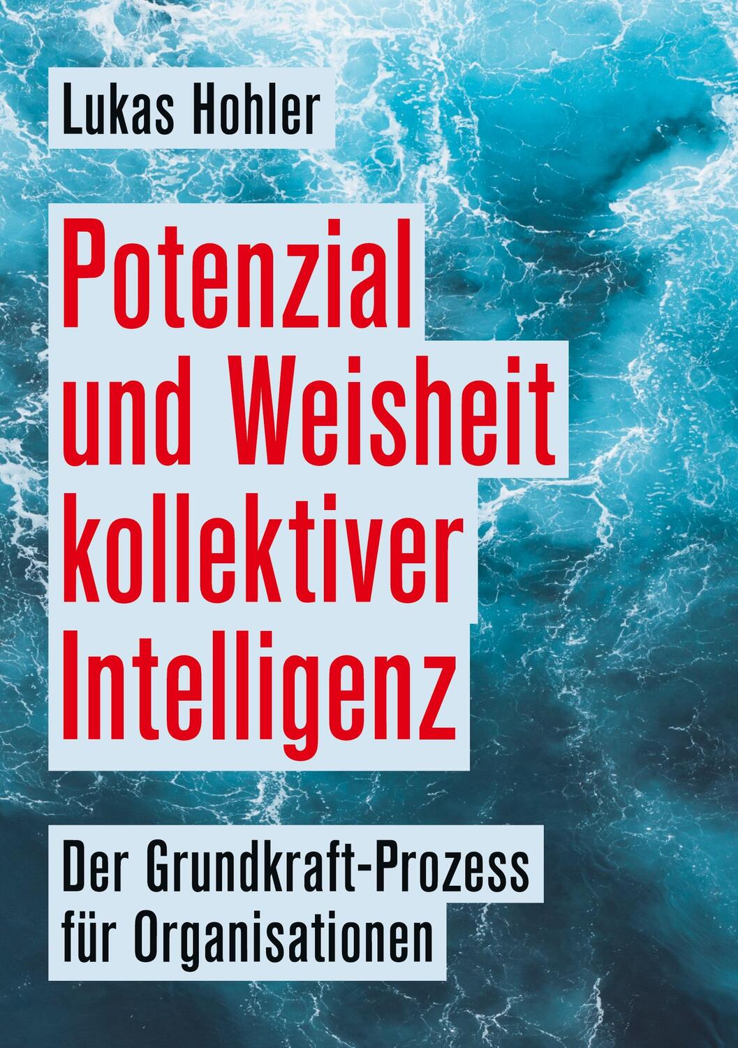 Cover: 9783347239159 | Potenzial und Weisheit kollektiver Intelligenz | Lukas Hohler | Buch