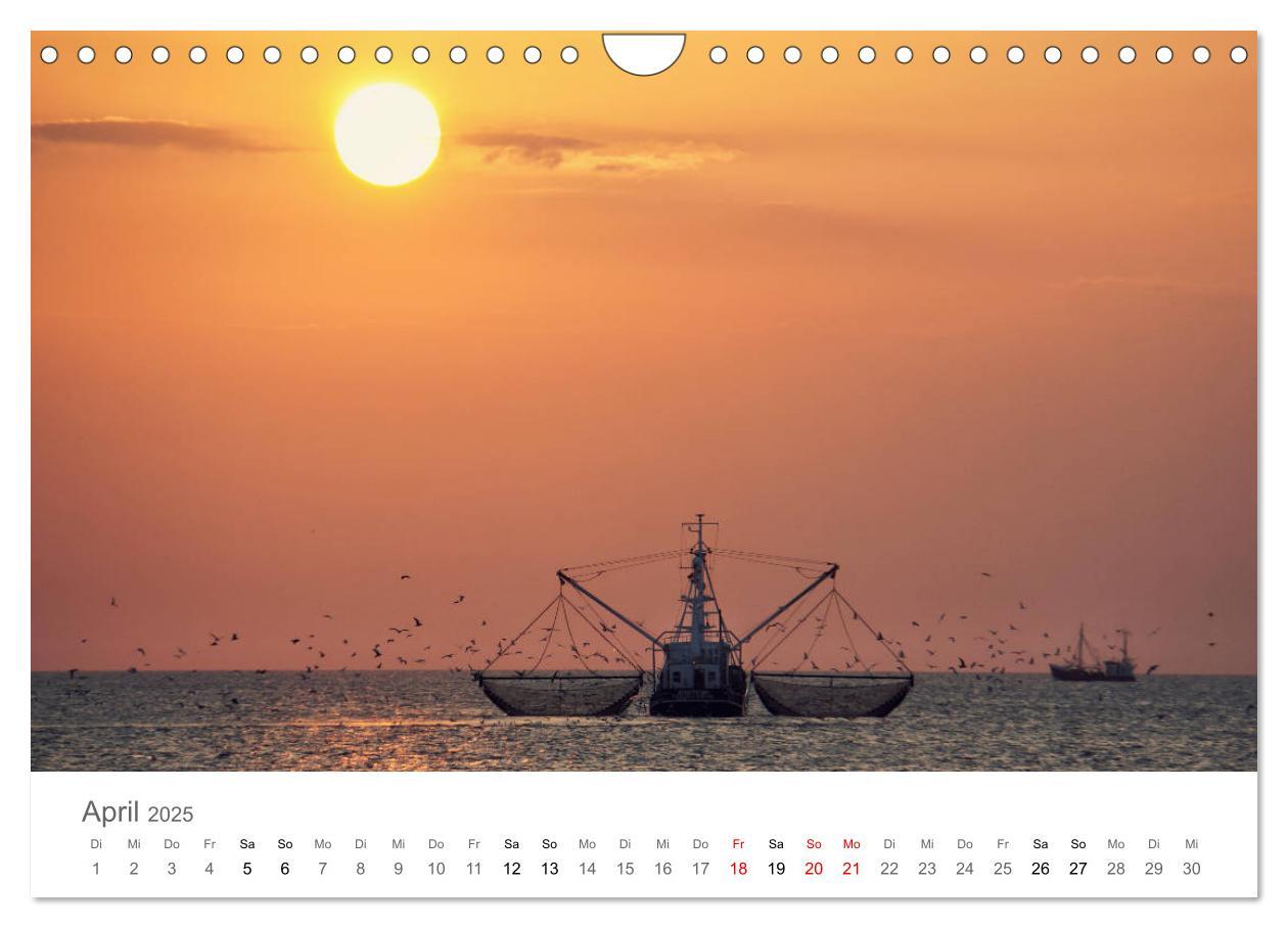 Bild: 9783435220045 | Nordfriesland (Wandkalender 2025 DIN A4 quer), CALVENDO Monatskalender