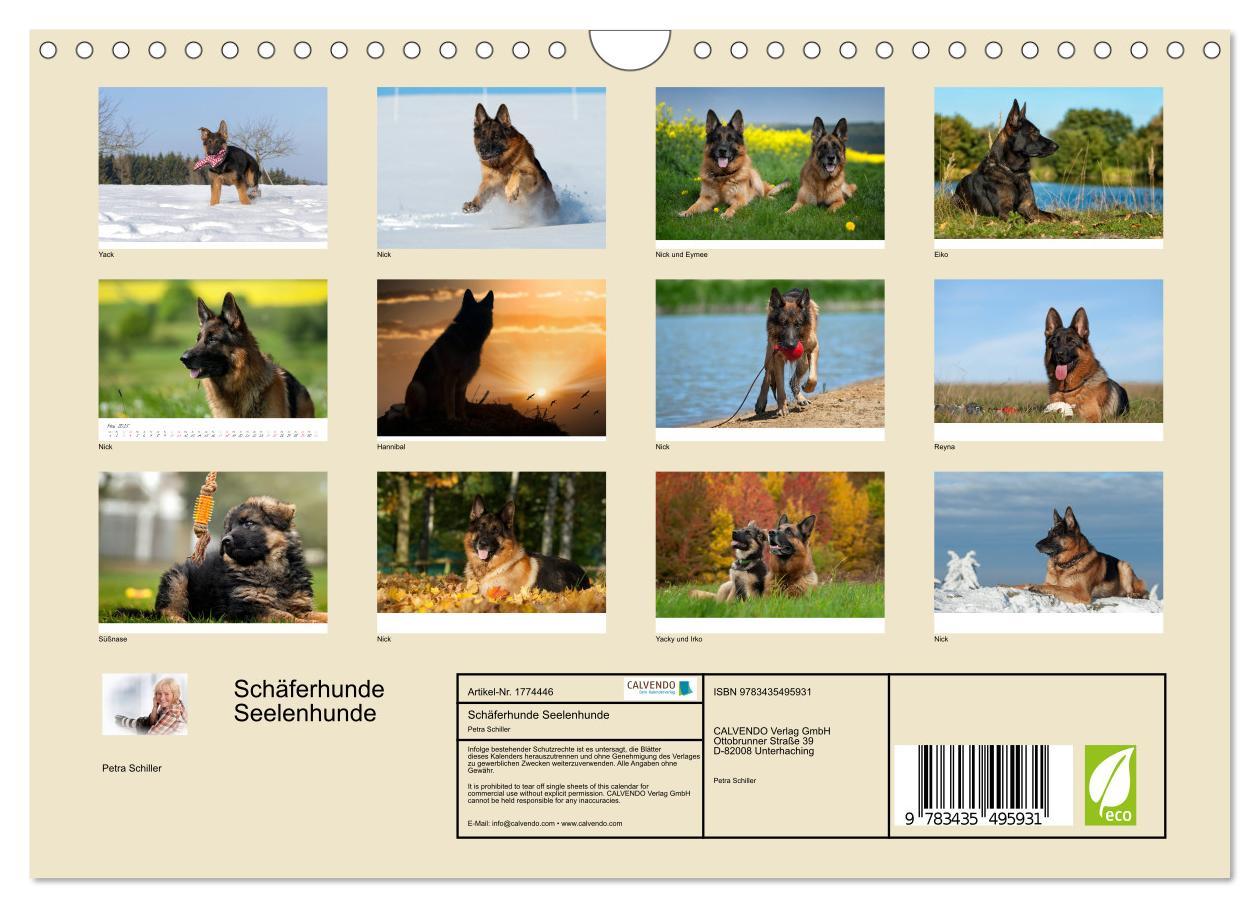 Bild: 9783435495931 | Schäferhunde Seelenhunde (Wandkalender 2025 DIN A4 quer), CALVENDO...