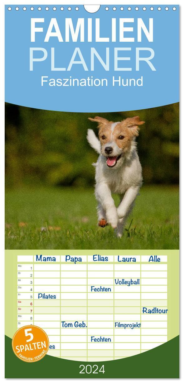 Cover: 9783383095979 | Familienplaner 2024 - Faszination Hund mit 5 Spalten (Wandkalender,...