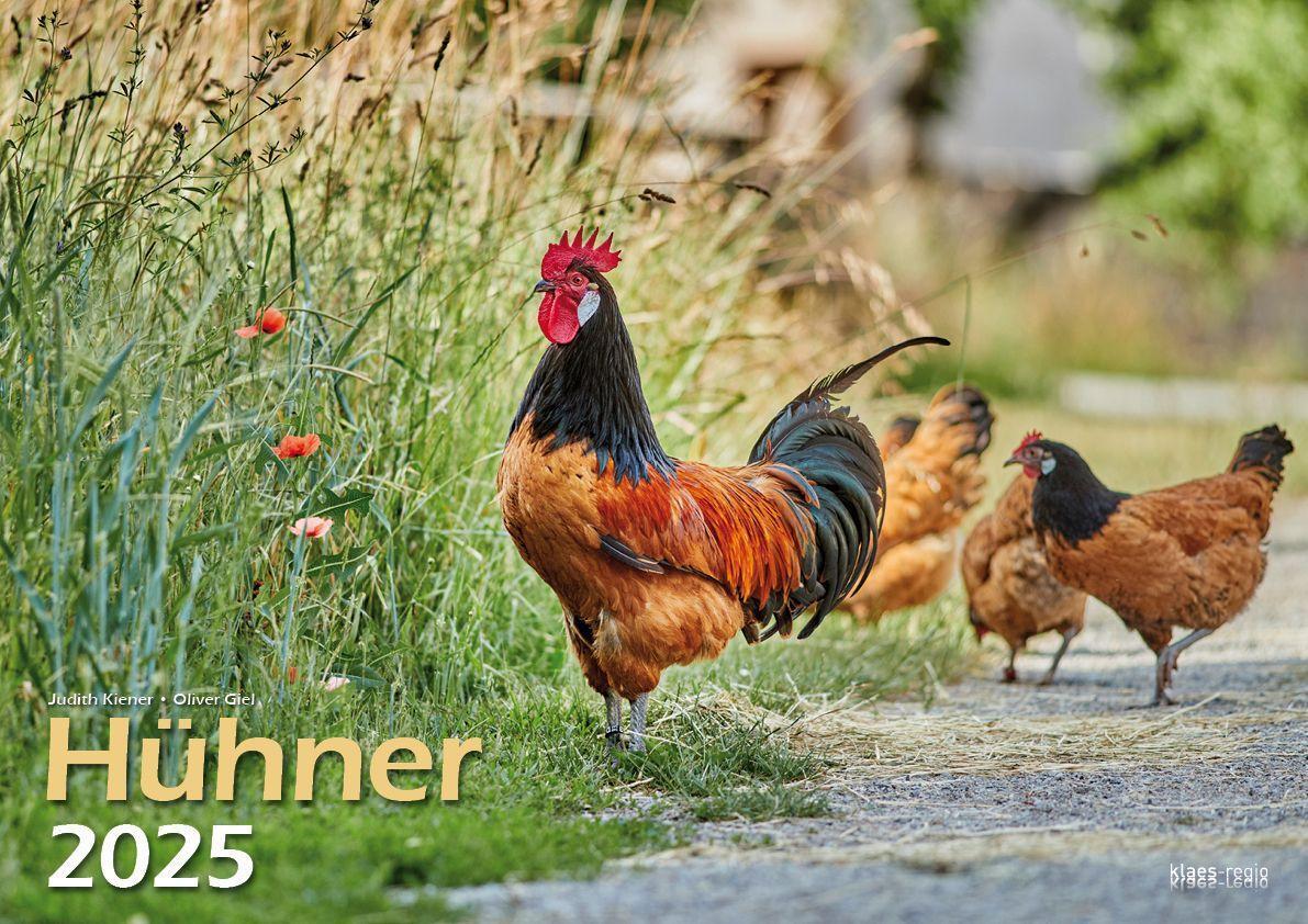 Cover: 9783965352353 | Hühner 2025 Bildkalender A3 quer - Judith Kiener &amp; Oliver Giel | Klaes