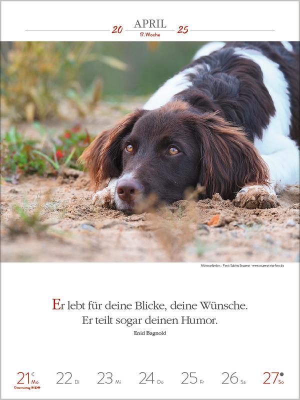 Bild: 9783731877271 | Literaturkalender Hunde 2025 | Verlag Korsch | Kalender | 54 S. | 2025