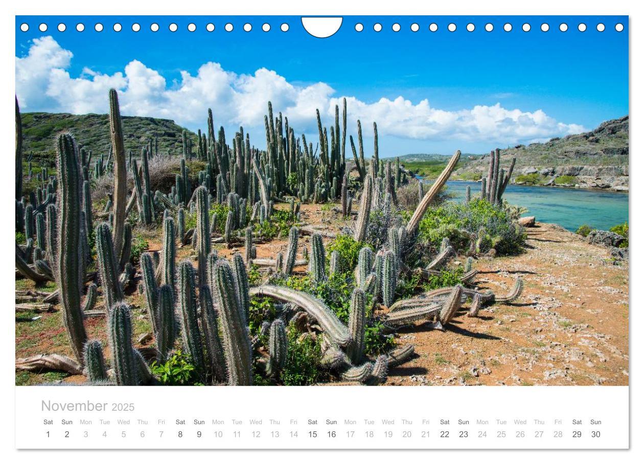 Bild: 9781325952625 | Curacao - Tropical Island (Wall Calendar 2025 DIN A4 landscape),...