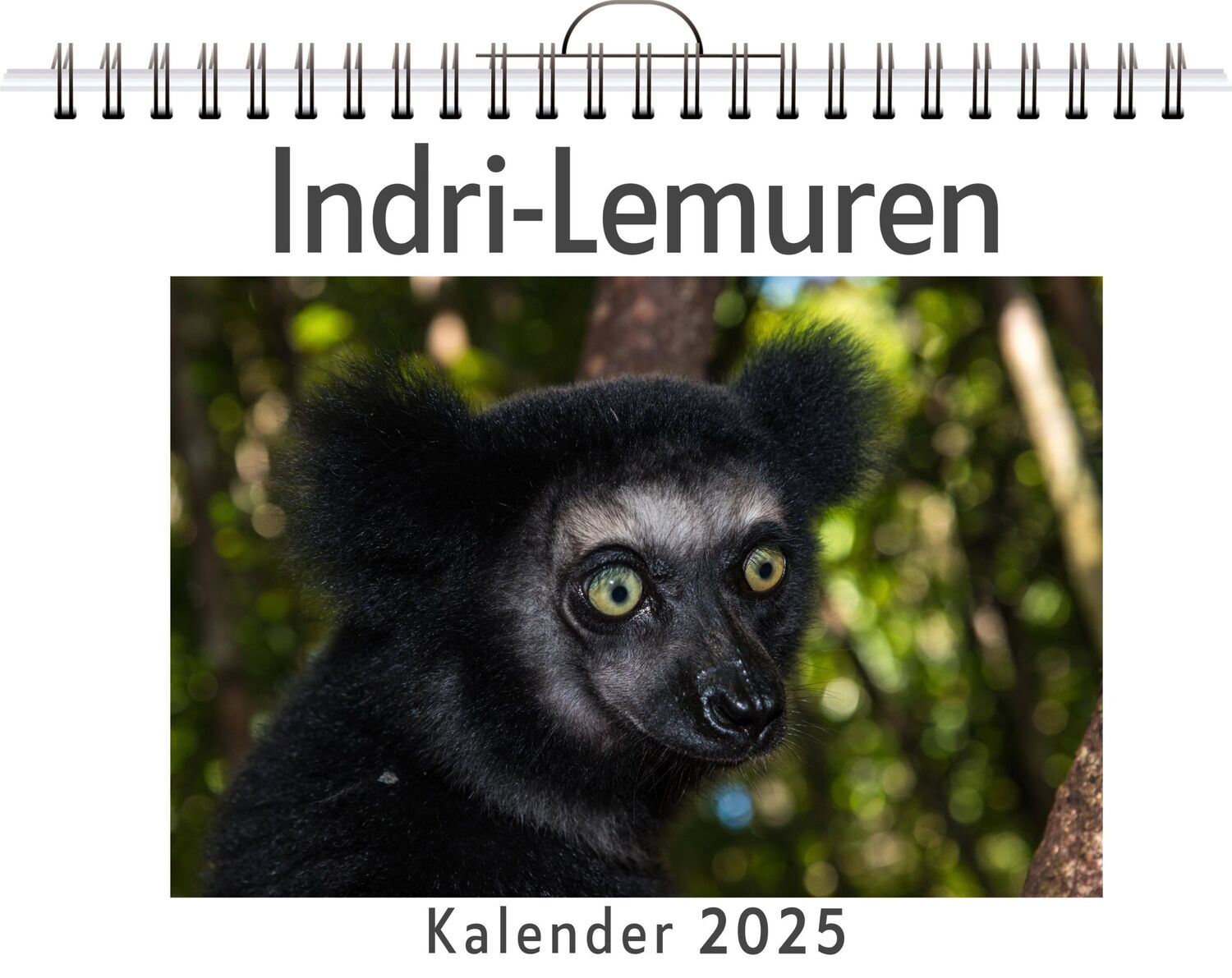 Cover: 9783759132918 | Indri-Lemuren | Lucy Hartmann | Kalender | Kalender | 14 S. | Deutsch