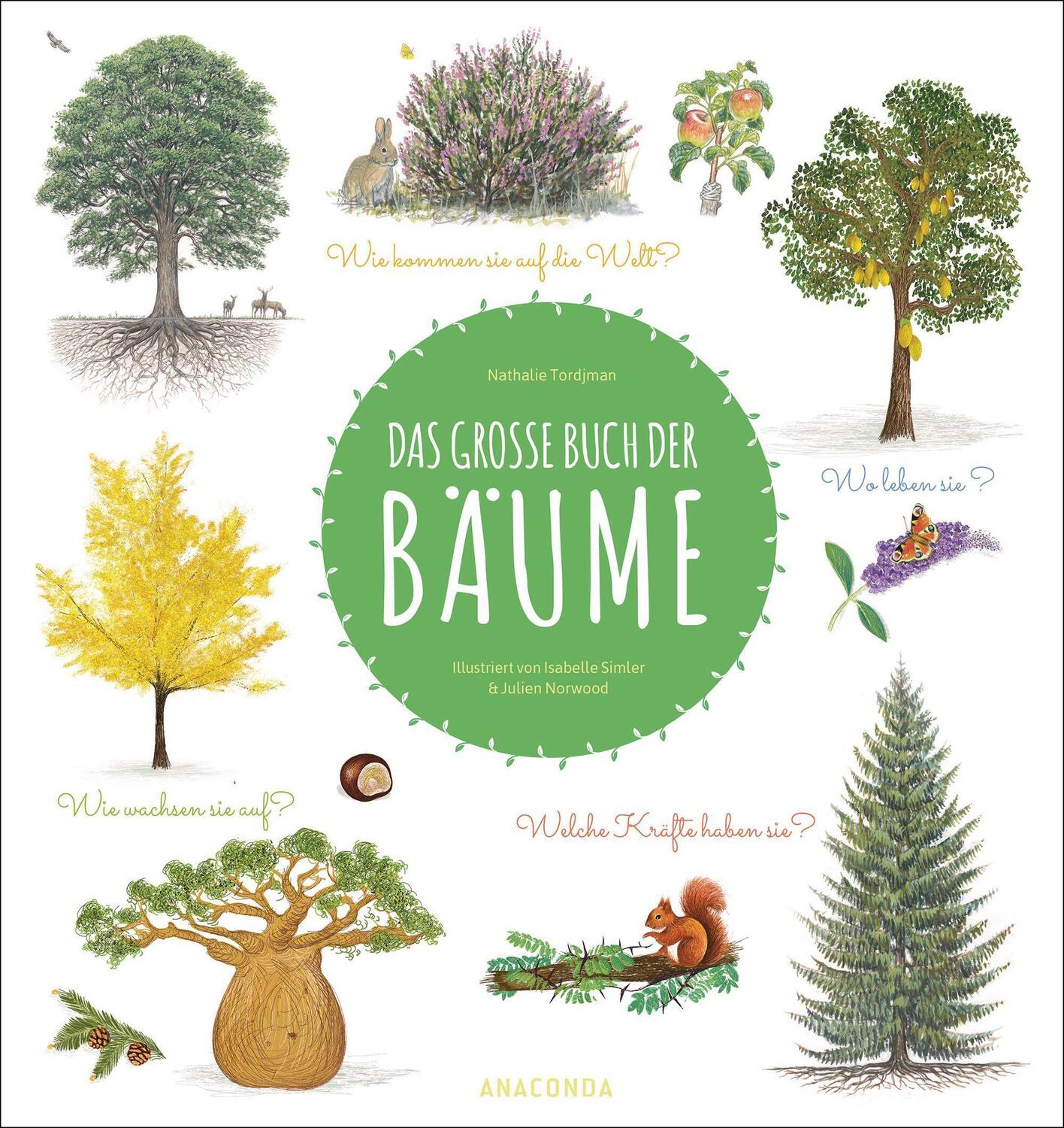 Cover: 9783730610558 | Das große Buch der Bäume | Nathalie Tordjman | Buch | 72 S. | Deutsch