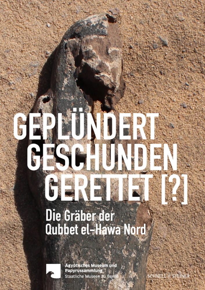 Cover: 9783795438180 | Geplündert, Geschunden, Gerettet [?] | Friederike Seyfried (u. a.)