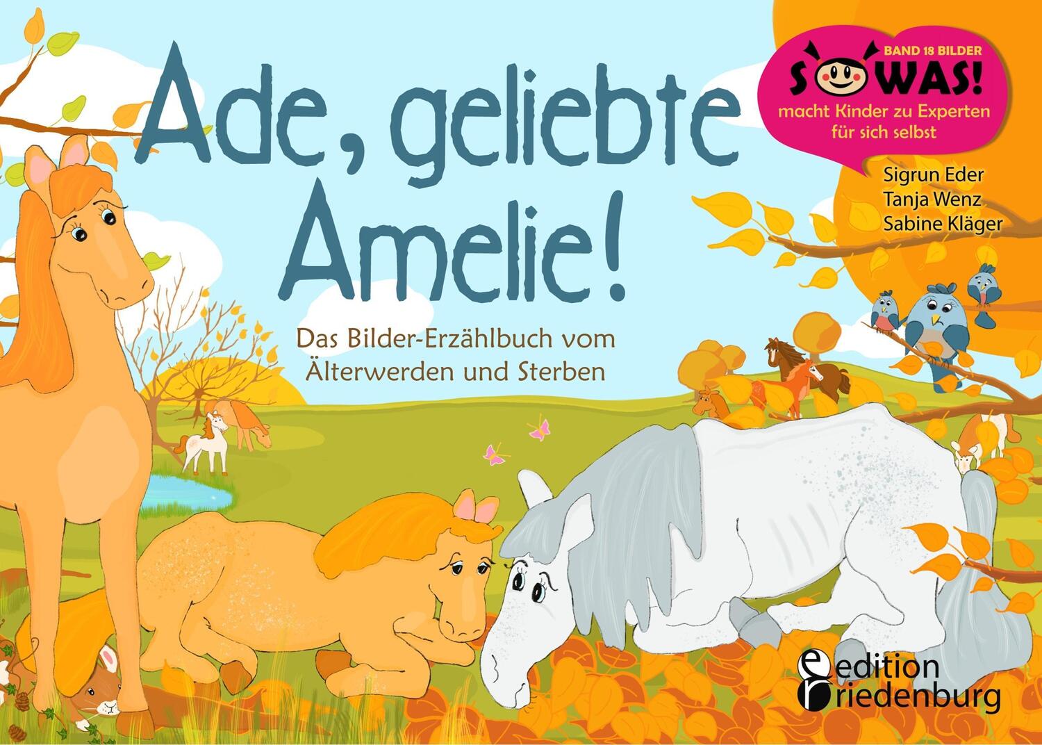 Cover: 9783903085992 | Ade, geliebte Amelie! Das Bilder-Erzählbuch vom Älterwerden und...