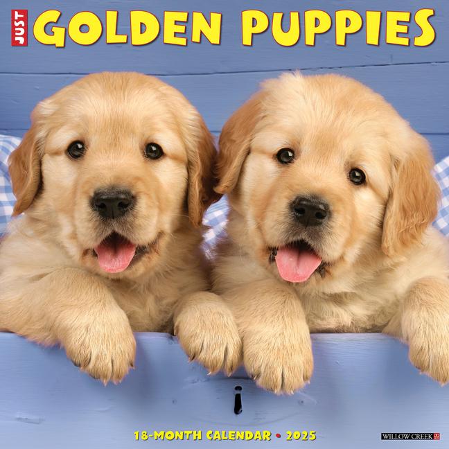 Cover: 9781549243097 | Just Golden Puppies 2025 12 X 12 Wall Calendar | Willow Creek Press